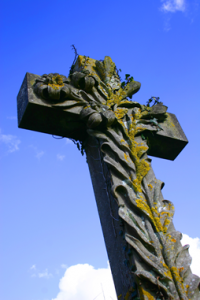 dreamstimefree_827424