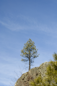 dreamstimefree_949647